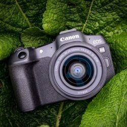eos-r8_2f